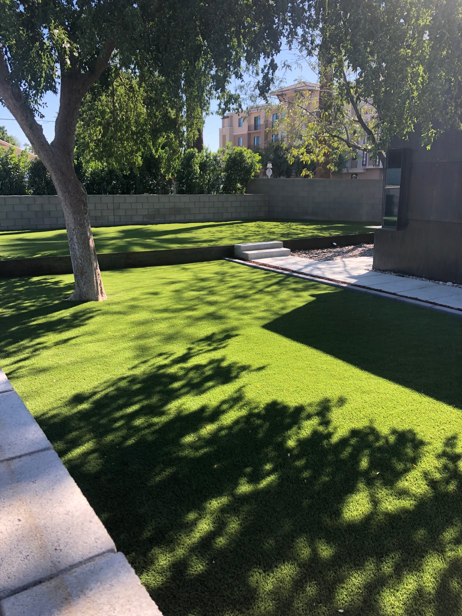 Backyard turf install Mesa AZ